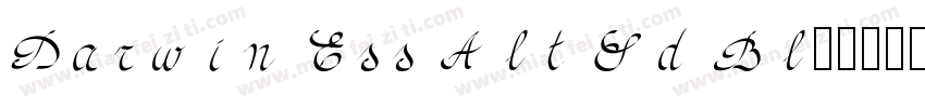 Darwin Ess Alt Rd Bl字体转换